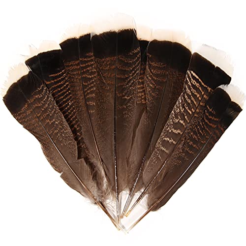 Natural Turkey Tails Feathers 8-10inch (20-25cm) for Crafts DIY Home Wedding Party Halloween Decoration Feathers (20pcs)