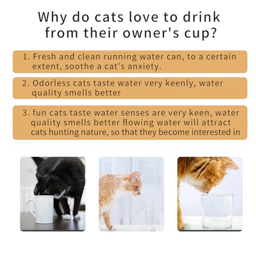 Bebedero automático para gato con filtro y batería 2.5L miniatura 6