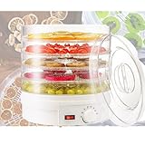 Pet Snack Air Dryer Dehydrator Transparent Food Grade Heating Fruit And Vegetable Pet Meat Dryer Free Temperature Adjustment
