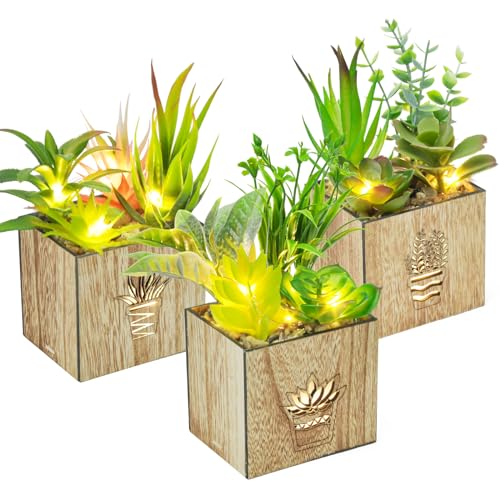 Elecoutek 3 Set Artificial Plants Indoor in Pots Fake Succulent with LED Light in Wooden Box, Faux Plastic Potted Plants Decorations for Office Desk Bathroom Living Room Home House