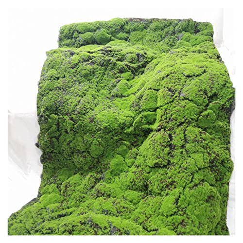 Amazon.de: Knstlicher Moosteppich, realistische DIY Faux Moosmatte zur  Verschnerung von Gartenwnden und Wohnzimmer-Dekor, 8 stilvolle Designs