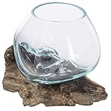 MyGift Mini Natural Driftwood & Molten Glass Bowl Tabletop Plant Terrarium
