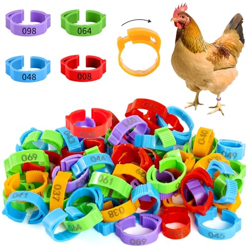 100pcs Chicken Leg Bands 14-22mm Adjustable Poultry Tags Durable Multi-Colored Hens Identification Leg Rings Chicken Coop Accessories for Chickens Chick Ducks Goose Turkey Birds