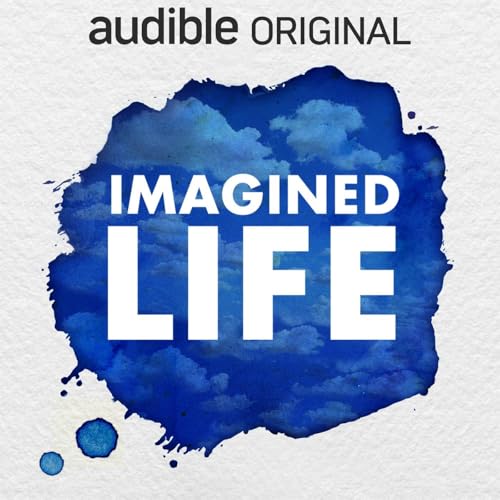 Imagined Life cover art