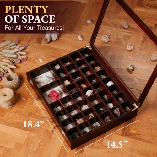 Image of Adjustable Rock Display Case - Rock Collection Box with Fabric Bed for Mineral Display - Dark-Finish Shadow Box with Shelves for Crystal Storage - Display Cases for Collectibles (Large)