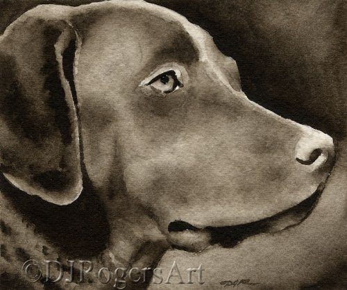Chesapeake Bay Retriever Sepia Watercolor Print