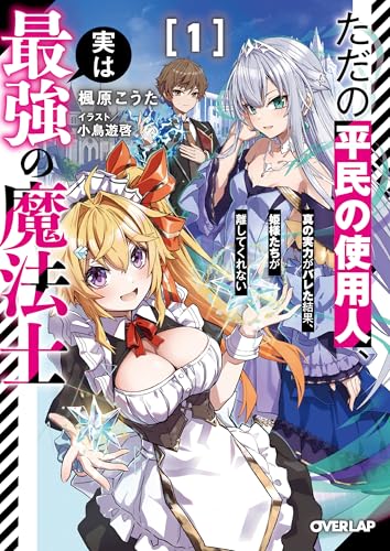 ただの平民の使用人、実は最強の魔法士 1　～真の実力がバレた結果、姫様たちが離してくれない～ (オーバーラップ文庫)