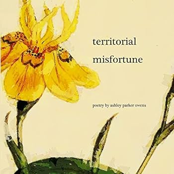 Paperback Territorial Misfortune Book
