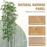 LSGCQ B0FM42KCGL lato 3