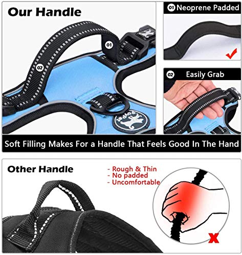 Image of PoyPet No Pull Dog Harness, No Choke Front Lead Dog Reflective Harness, Adjustable Soft Padded Pet Vest with Easy Control Handle for Small to Large Dogs(Light Blue,XS)