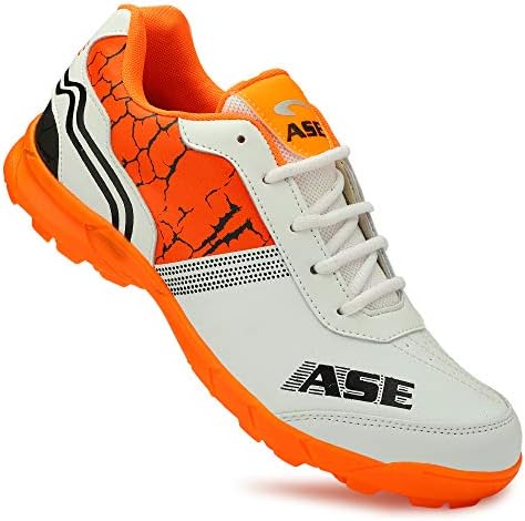 ASE Men's Professional Cricket Shoes