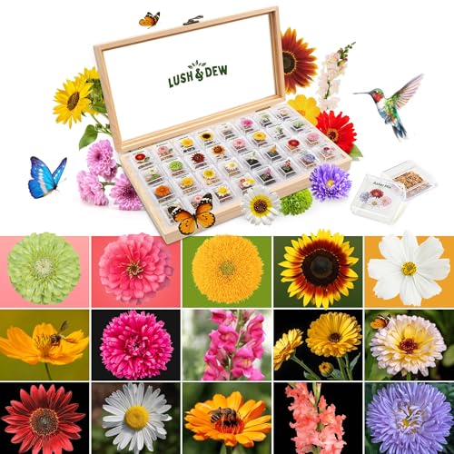 Lush&Dew Cut Flower Seed Bank, Valentines Gardening Gift for Women, 32 Varieties Non-GMO Annual & Perennial Wildflower Seeds for Planting in Raised Garden Bed, Home Garden, Zinnia Sunflower Zone 3-10