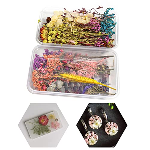 Flores Secas Resina Mezcladas Naturales Decorativas 2PCS miniatura 5