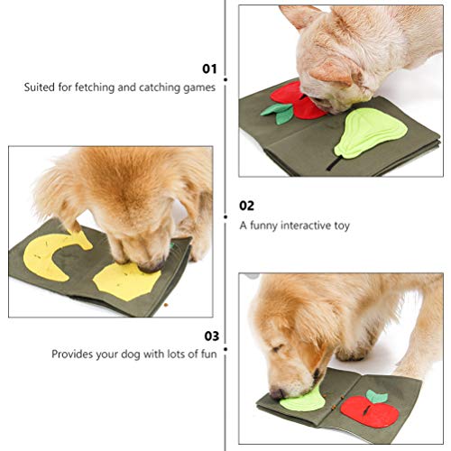 犬が手を舐める どんなサインがあるの 意味するものは ワンちゃんと夕焼けの中で散歩