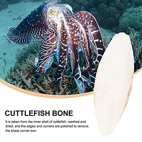 fdsfd Cuttlefish Shell Papegaai Kauwspeelgoed 10 STKS Desalted Cuttlefish Bone Bijten Speelgoed Natuurlijke Bron Van… - Afbeelding 8