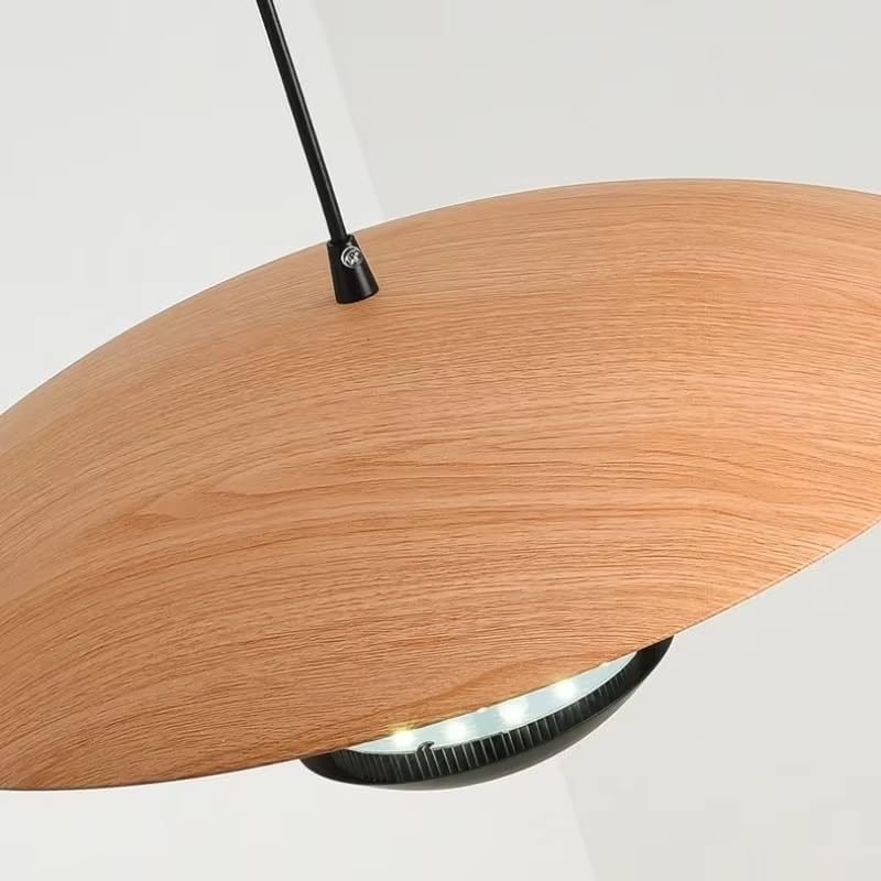 Lustre irrégulier de styliste minimaliste D450 pour éclairage comptoir d'art - 2