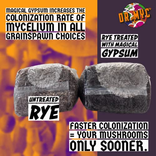 Magical Gypsum - Yeso de Laboratorio con Perfil Nutricional miniatura 3