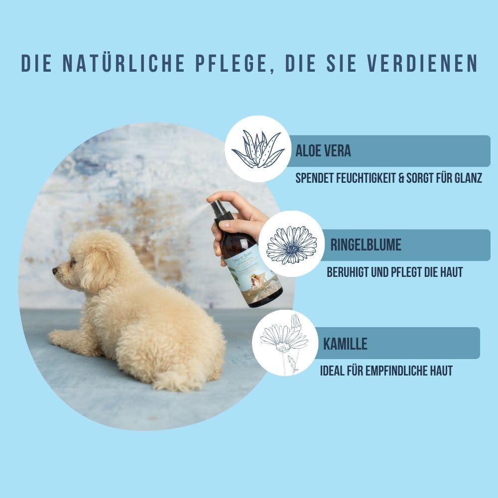Hundeparfüm Tropical Bliss mit Kokosduft, 300 ml | Tails of Glory: natürliches und veganes Hundespray für frischen Duft und weiches Fell.