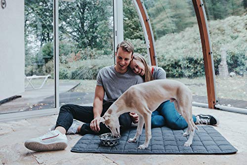 Hunter Hundedecke Hamilton 120x70cm grau