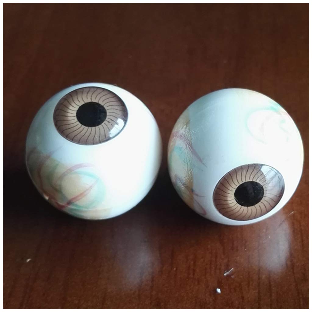 sjdoPulse Eyeball Anatomical Model - Human Eye Model - False Eye Medical Teaching Model Display Model - Human Organ Anatomical Model - for Study Display Teaching Medical Model