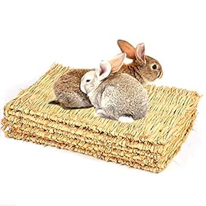 Camiter - Set di 5 Tappetini in Erba Intrecciata per Piccoli Animali: Giocattoli da Masticare per Criceti, Conigli, Pappagalli, Cavie e Furetti