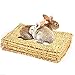 Camiter 5 Pezzi Tappetino per Piccoli Animali, Tappetino per Giocattoli da Masticare per Animali, Tappetini in Erba Intrecciata di Fieno Naturale per Criceti, Conigli, Pappagallo Cavia e Furetto