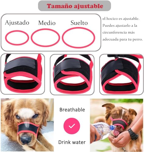 Mascotas, Imagen adicional