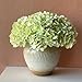 YalzoneMet RUZUQE 3 Pcs 21 in Artificial Light Green Hydrangea Natural Lifelike Real Touch Faux Large Royal Hydrangea for Home Party Outdoor Wedding Decor Table Centerpiece Artificial Flower