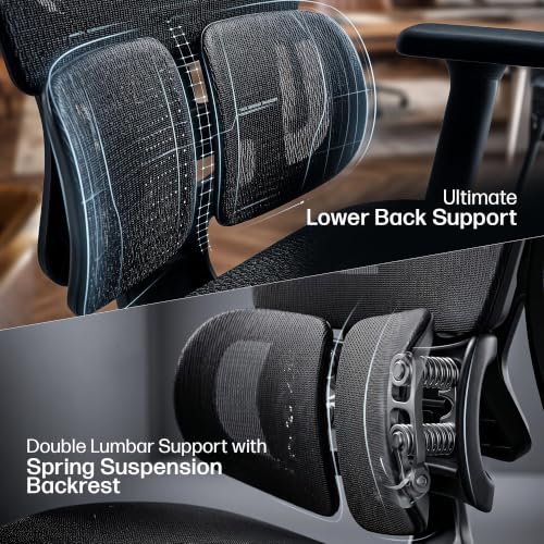 Image of DROGO Ergosphere Ergonomic Office Chair for Work with 3-Gear Floating Adjustable Backrest | 4D Armrest, 3D Headrest | Mesh Computer Chair with 135 Recline Lock | Dual Lumbar Support & Footrest(Black)