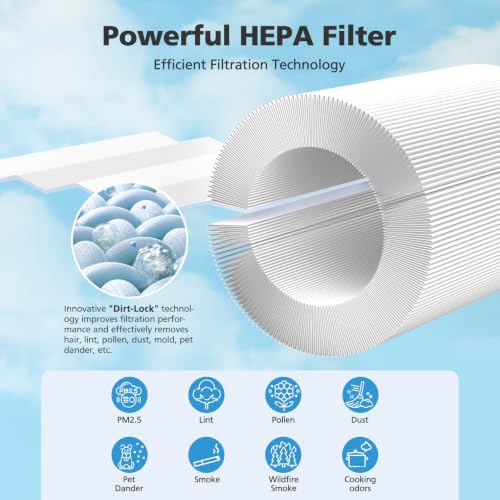 Image of 1 Pack HAP604 Replacement Filters For ECOSELF HAP604 Air Purifier True HEPA | HAP604 HEPA Filter & Activated Carbon - 360 Intake & Outlet, 3-in-1 Filtration for Pet, Wildfire Smoke, Odors, Pollen & Dust