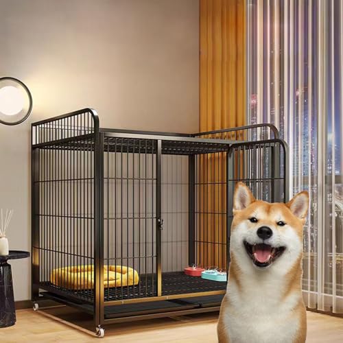 Wetsfgdg  Q[W t ^ P[W  LX^[t̃hbON[g͂ꂪȒPŁAybg̏oX[YAgݗāEȒPȂ̂ŁAړȒPłA^ɍœKł/ubN-110*72*101cm