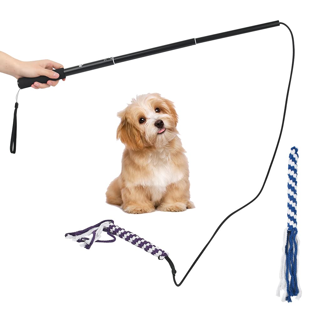 Canne à Leurres Télescopique Pour Chien - Jeu Interactif D'Exercice, Idéal Grandes Races, Rétractable