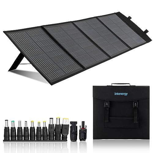 Intenergy 100W Foldable