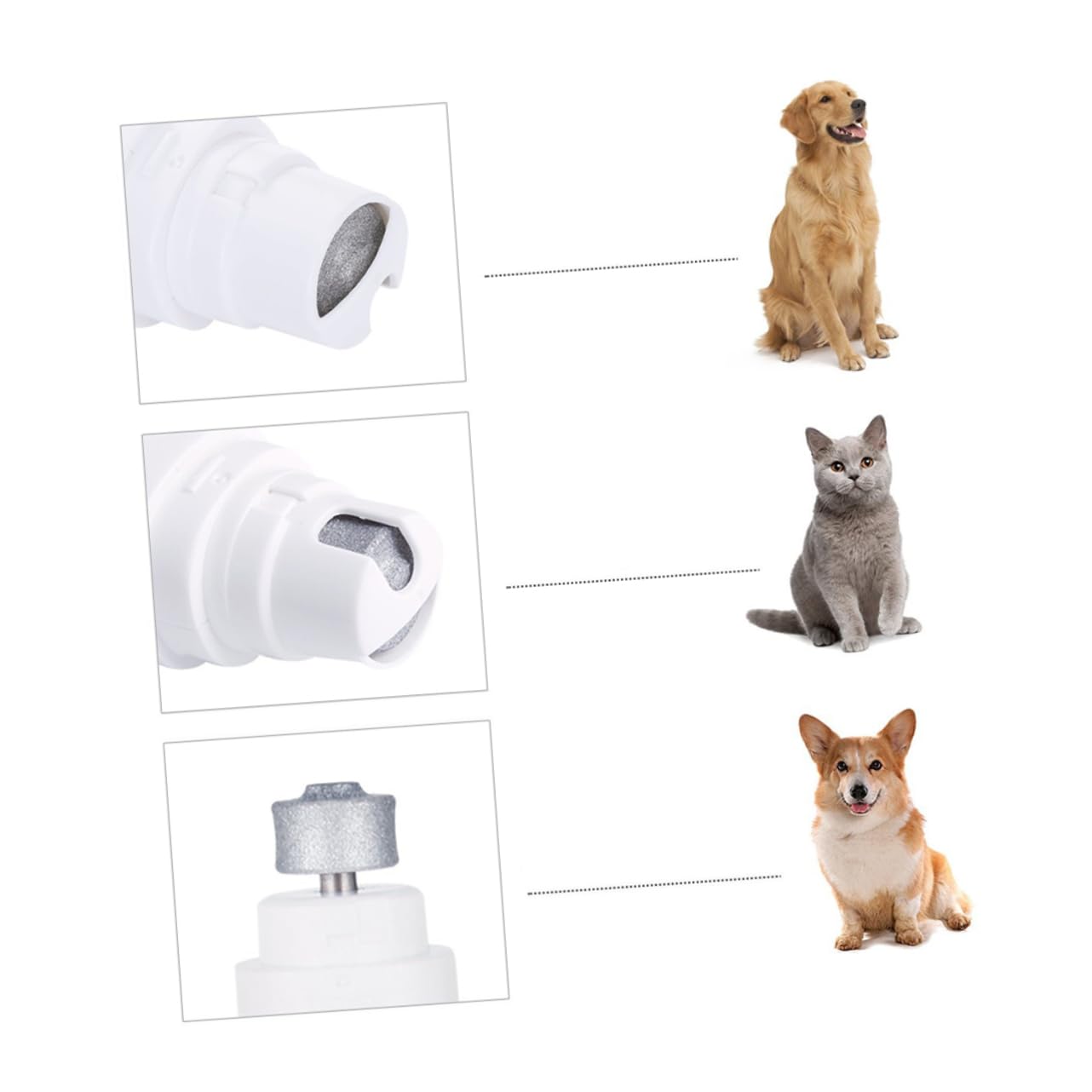 Toddmomy 3 Pièces broyeur de Chien électrique Tondeuse à Griffes pour Animaux de Compagnie Griffe pour Animaux de Compagnie ongle de Chien Coupe-Ongles électrique pour Animaux de Compagnie
