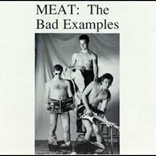 Play Meat the Bad Examples by Ralph Covert & The Bad Examples on