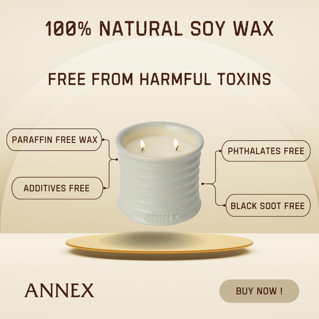 Scented Luxury Citronella Candles outdoor, Mosquito Bug Repellent | Handmade Ceramic Jars, Soy Wax | Cloudy Pillow - Fig Leaf & Lemon, Large Natural Candle | Non Toxic, 2 Wicks, Reusable Big Beige Jar