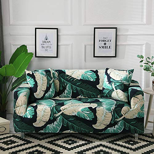 Housse de canapé extensible imprimée Bb protège fauteuil usé motif moderne