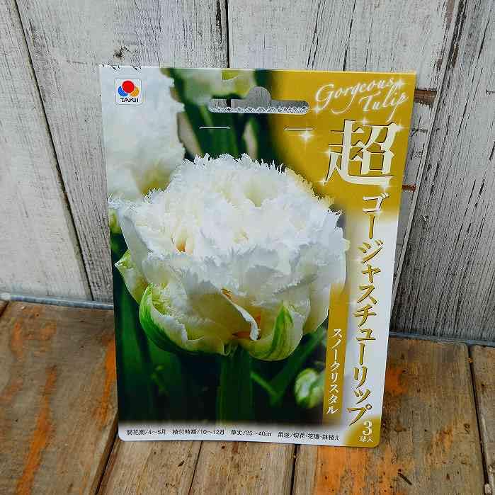 Amazon | チューリップ 球根 スノークリスタル 白花 八重咲き 3球