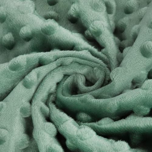 Boritar Baby Blanket For Boys Girls Super Soft Double Layer Minky With Dotted Backing thumb #4