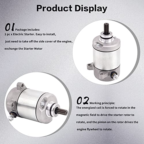 Road Passion Starter Motor For Honda Rancher 350 Trx350Fe Trx 350 Fe Trx350Fm Trx 350 Fm Trx350Te Trx 350 Te Trx350Tm Trx 350 Tm Trx350 Trx 350 Rancher 350 Starter Fourtrax 2000-2006 Atv Utv #TOP5