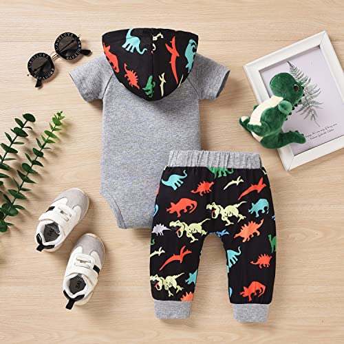 Hintina Infant Baby Boys Spring Summer Dinosaur Dino Clothes Mama's Boy Hoodie Bodysuit Pants Outfits Set 12-18 Months #TOP4