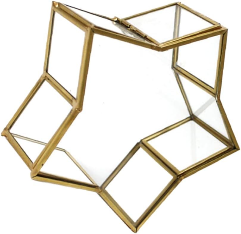 Ciieeo 1pc Small Unique Wish Bottle Glass Packing Box Multi-functional Star-shaped Jewelry Case for Preserved Flowers Origami