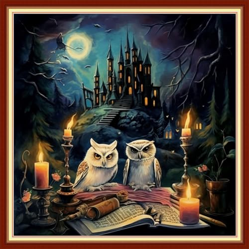 Image of DMCVIVR Stamped Cross Stitch Kits for Beginners Adults Needlepoint Kits for Beginners Embroidery Kits for Adults Crossstitch Kit for Beginners 11CT-Owl Castle 18x18 inch