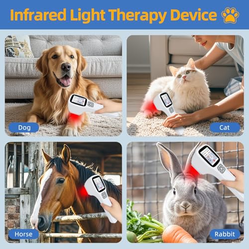 Image of Laser Therapy Device for Pain Relief, 980nm+905nm+808nm+650nm, Hand Held Red Light Therapy Device, Cold Laser Therapy Device for Dogs Horses Cats Accelerate Healing, Pet Laser Therapy, Equine