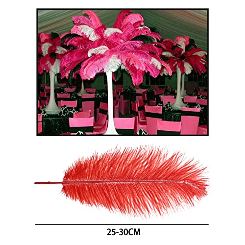 Be In Your Mind 15pcs Natural Ostrich Feathers Mixed Colorful Feathers 25-30cm for DIY Craft Art Design Non-Toxic Odourless Dream Catchers Wedding Party Home Decoration - Image 3