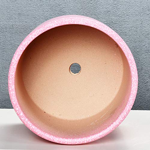 Pots de plante en céramique durable pour sublimer vos succulentes - 3