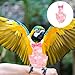 balacoo Bird Flight Suit Reusable Parrot Diaper for Parakeets Cockatiels Lightweight Stylish Bird Clothing Creative Design for Easy Wear Pet Supplies