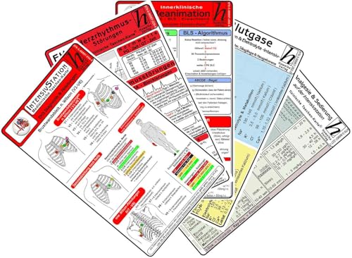Intensiv-Station Karten-Set 2025 - EKG Diagnostik & Ableitungen, Herzrhythmusstörungen, Reanimation - Innerklinisch, Blutgase, Säure-Basen & ... Analgesie & Sedierung auf der Intensivstation