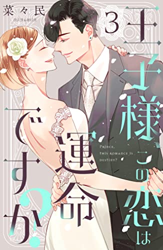 王子様、この恋は運命ですか?(3)