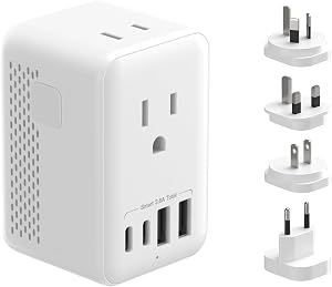 220 V to 110 V Voltage Converter,Canada to Europe Travel Converter with 2 USB A and 2 USB C for Over 80 Countries, Including Most European Countries, France, Germany, Italy and Australia